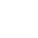 Globe icon